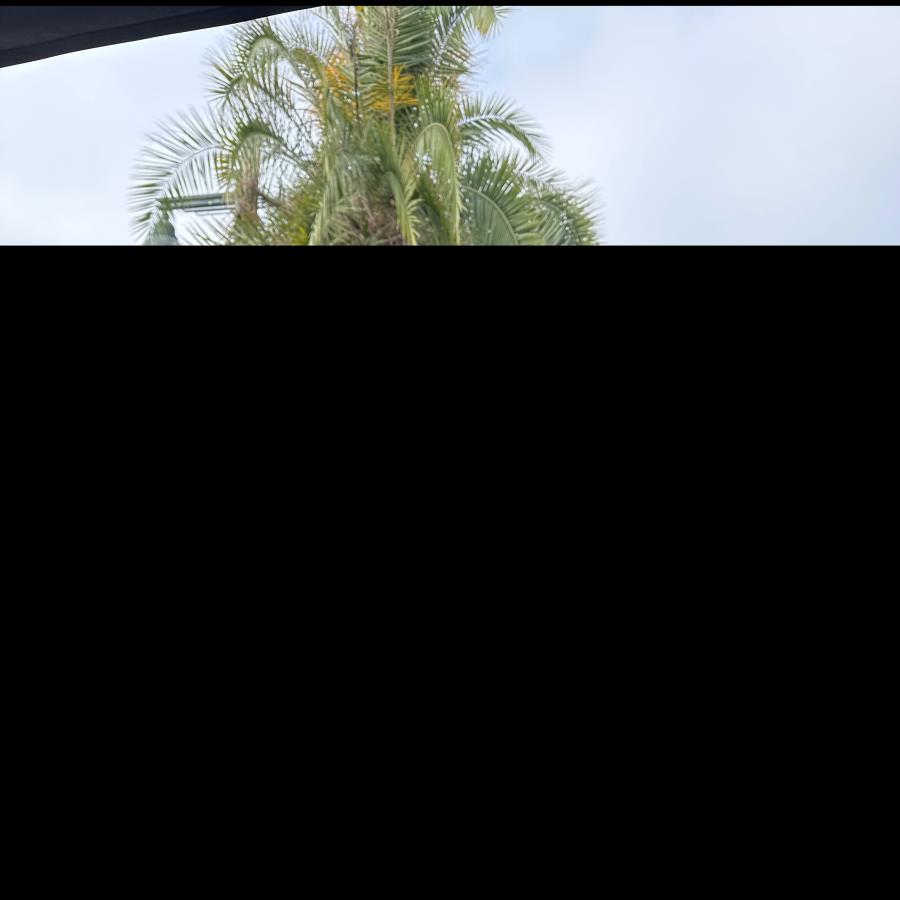 Nora Baker from Fort Collins CO USA Nora Baker from Fort Collins CO USA