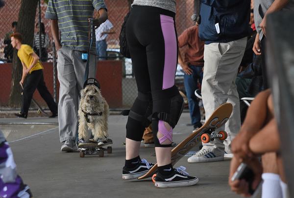 The Boardr Amateur Skateboarding at NYC - Dog of the Day