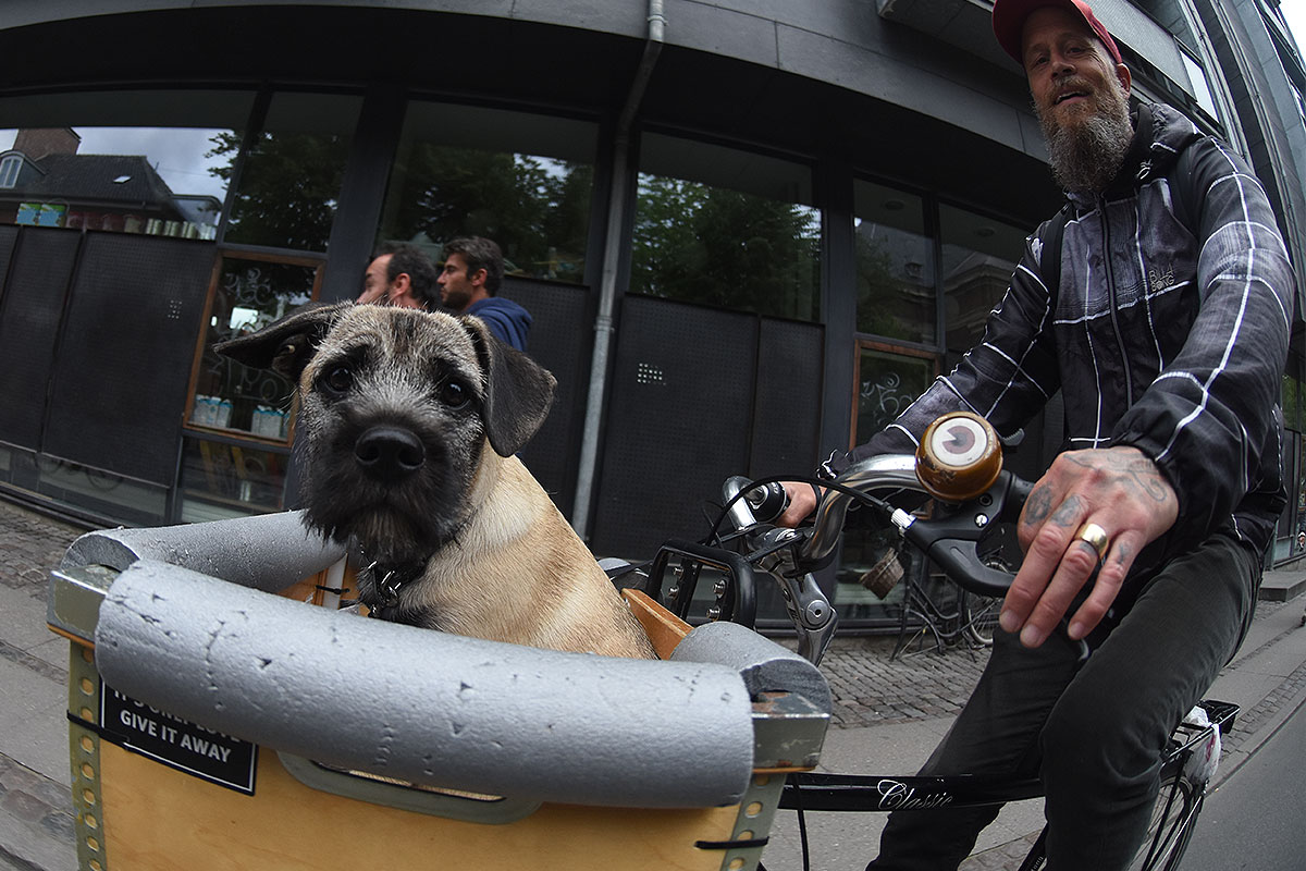 Copenhagen 2017 Extras - Biker Pup