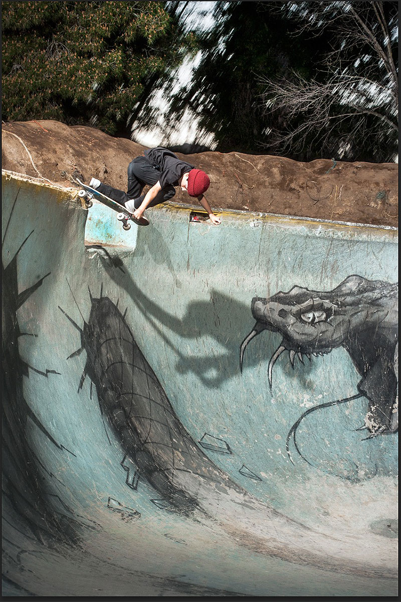 Gavo with the Gap Back Tail