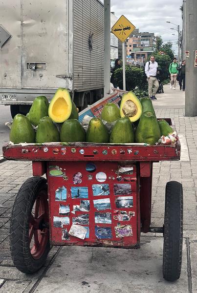  Day Off in Bogota - Avocados!