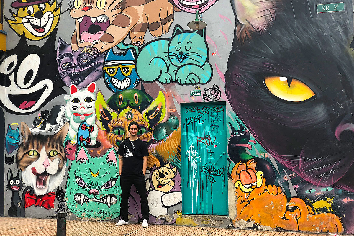 Day Off in Bogota - Cat wall