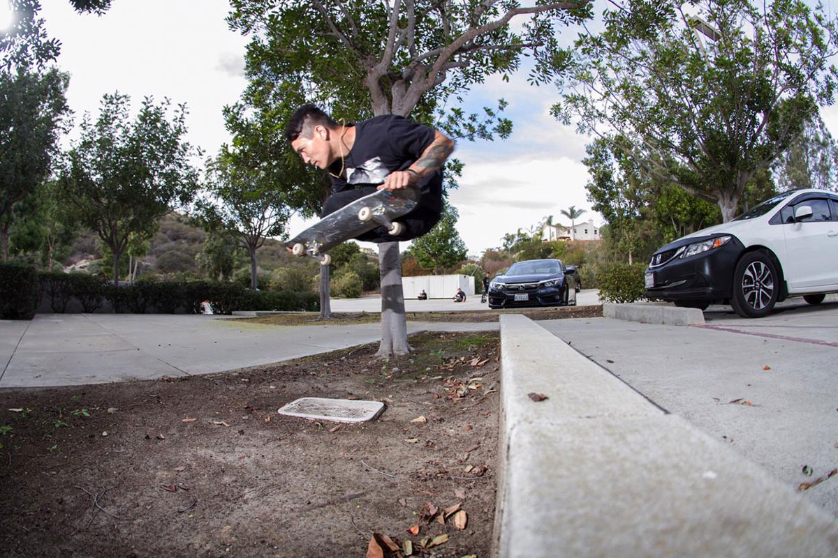 Felipe - Ollie.