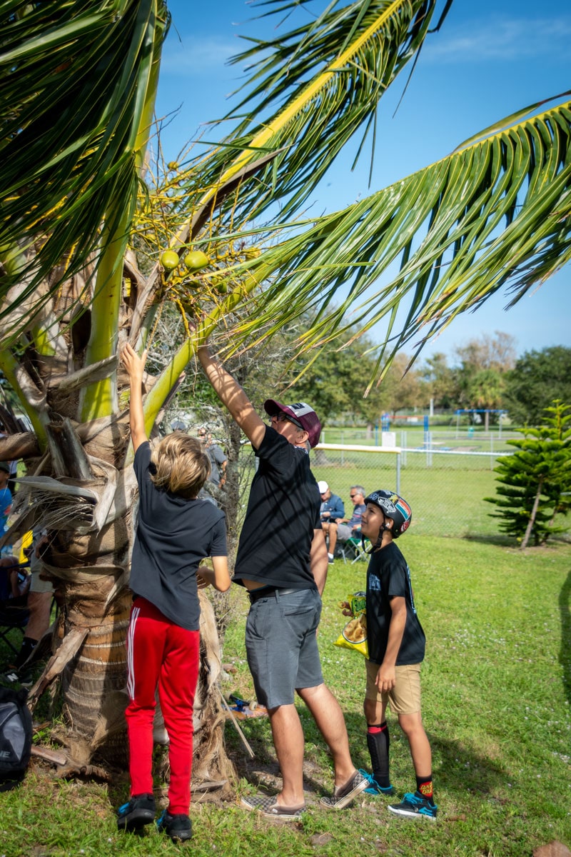 GFL Cocoa Beach - Coconut Water