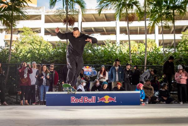 Red Bull Drop In Tour - Security