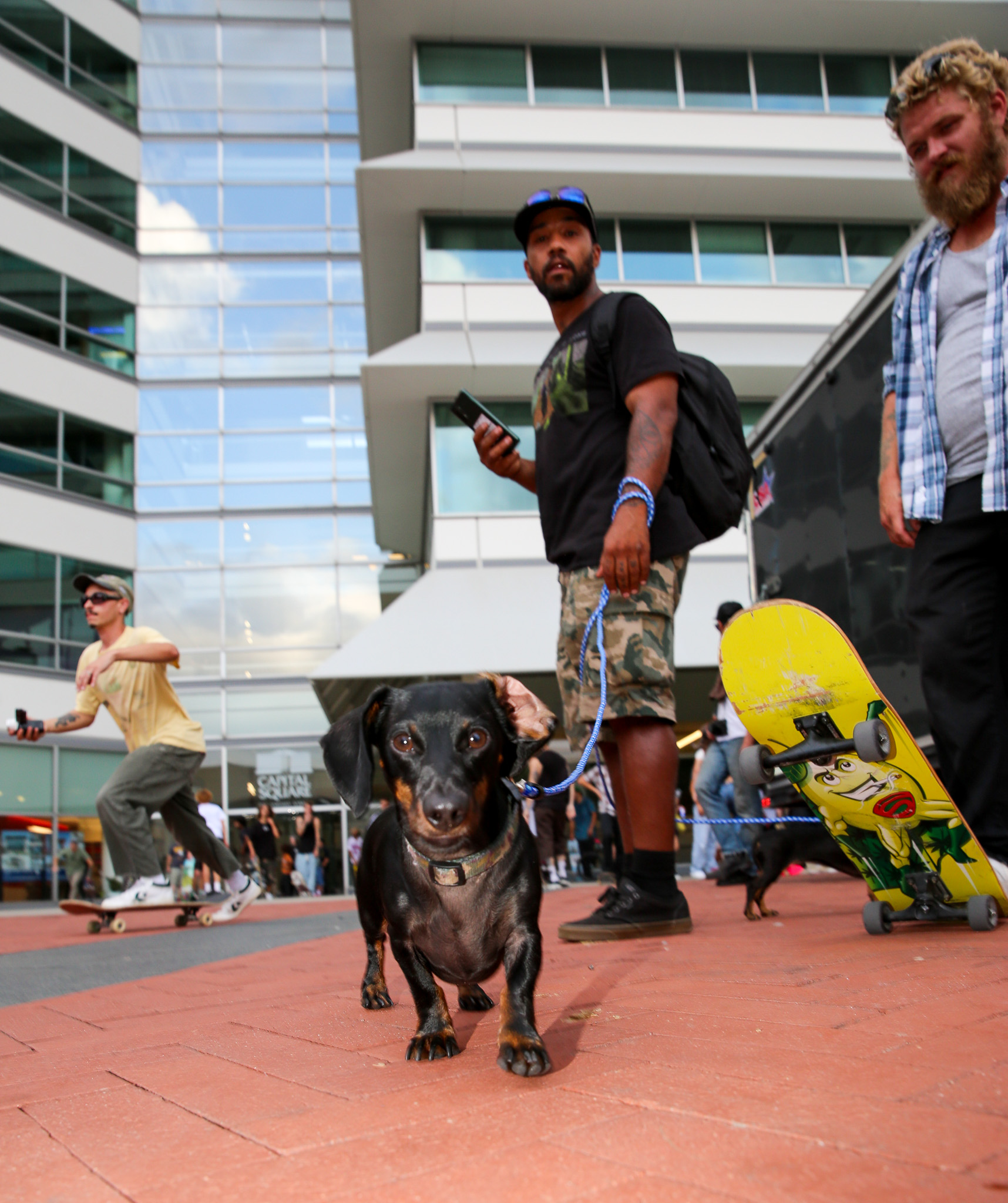 Skating With The Big Dogs