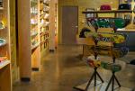 The Boardr Store in Tampa Skateboarding Supplies