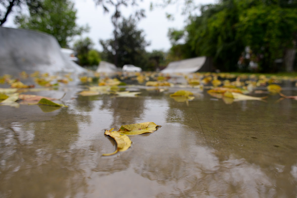 AYC at the Dream Driveway Raining