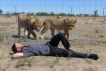 Joe Dreams of Cats on South Africa Tourist Mission