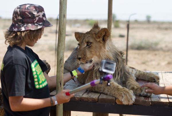 Lions and Selfie Sticks at Kimberley Diamond Cup 2015
