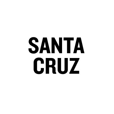 Team Santa Cruz Boardroom